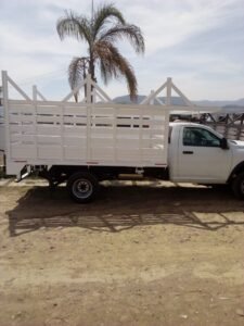 IMG_2024-06-12-10-20-51-534