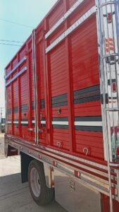 IMG_20250308_134519_1