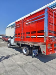 IMG_20250308_134605_edit_1301242664821021